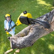 Best Tree Preservation Services  in Garrison, ND